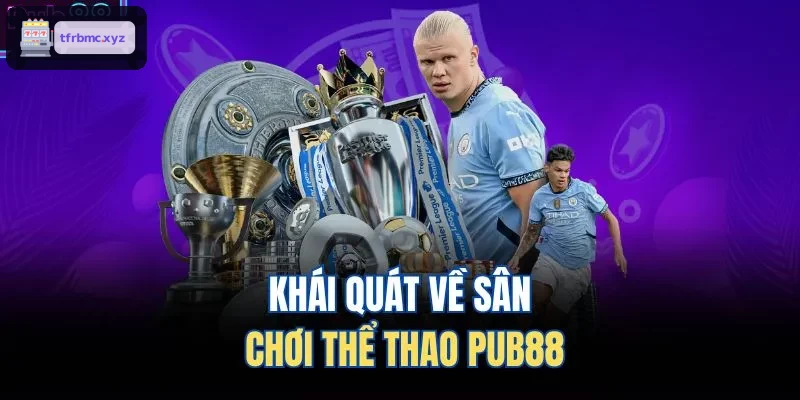Khái quát về sân chơi thể thao TX88